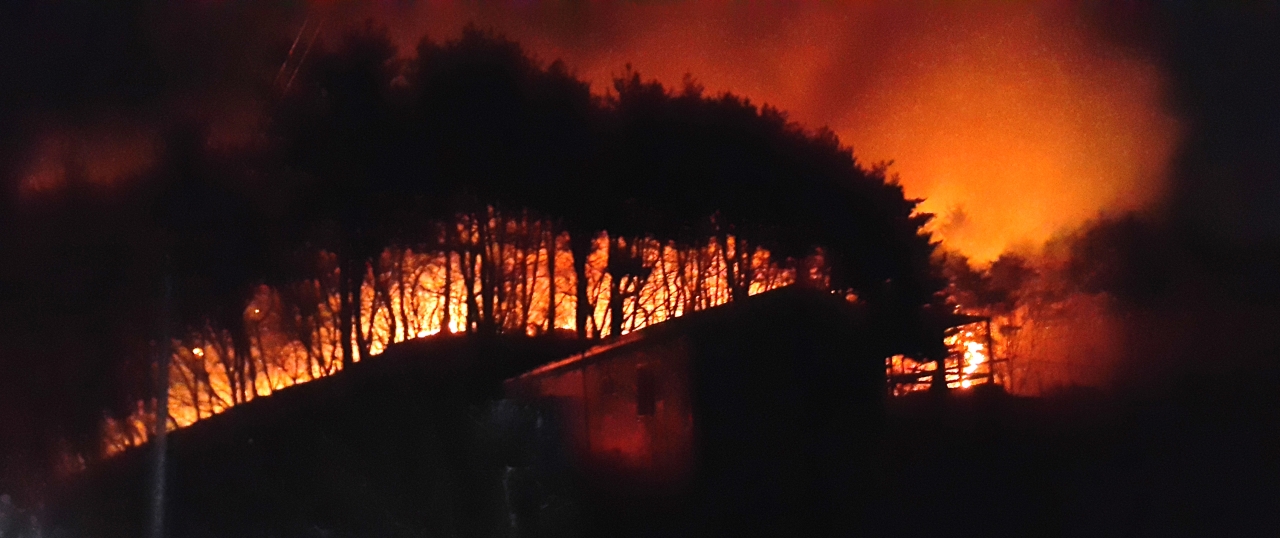 지난 12일 오후 울산시 북구의 한 야산에서 발생한 산불로 나무 등이 불타고 있다. 소방당국과 북구 공무원들이 밤새 진화 작업을 벌였다.