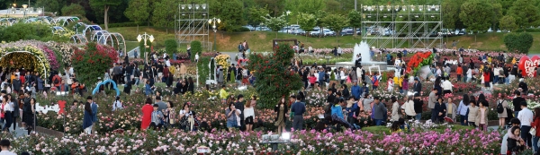 19일 가족, 연인, 친구와 함께 '제12회 울산대공원 장미축제'가 열리고 있는 장미원을 찾은 많은 행락객들이 장미향 가득한 장미꽃길을 걸으며 즐거운 시간을 보내고 있다.  유은경기자 usyek@