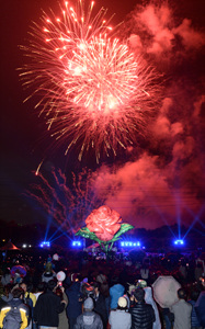 18일 울산대공원 장미원에서 장미축제 개막을 알리는 화려한 불꽃이 장미원의 밤하늘을 아름답게 수놓고 있다.  유은경기자 usyek@