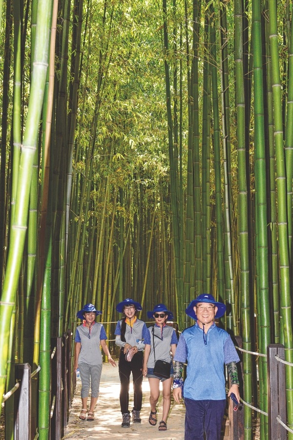 블로거들이 도심 속 태화강을 따라 펼쳐진 대나무 숲 '태화강 십리대숲'을 산책하며 힐링의 시간을 갖고 있다.