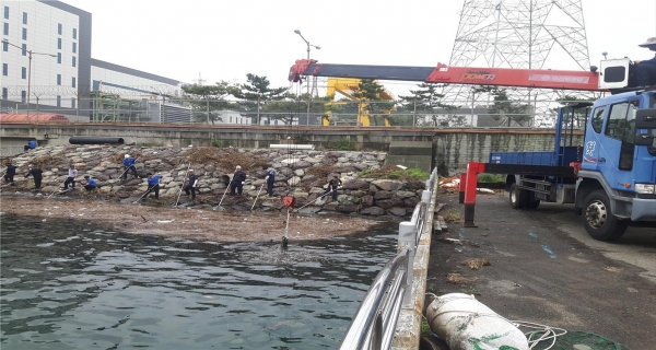 해양환경공단 울산지사(지사장 이상열)는 최근 태풍 및 집중호우로 태화강에서 유입된 해양쓰레기 약 40톤을 긴급 수거했다.