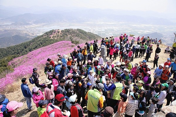 진달래 군락지로 유명한 밀양 종남산에서 오는 4월 7일 제 11회 밀양시 종남산 진달래 축제를 연다.