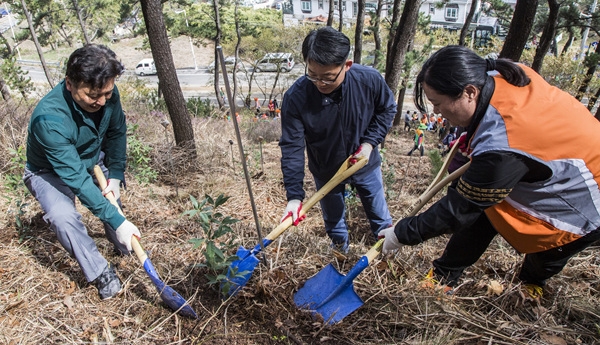 북구는 제74회 식목일을 앞두고 21일 당사동 산 159번지 일원에서 가시나무 1,500그루를 심는 나무심기 행사를 가졌다.
