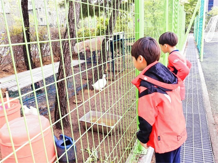 동대초등학교 학생들이 교내 동물농장에서 동물들에게 먹이를 주면서 동물들과 교감을 나누고 있다.