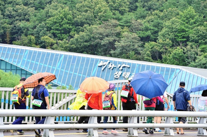 참가자들이 태화강 생태관을 배경으로 선바위교를 건너고 있다.