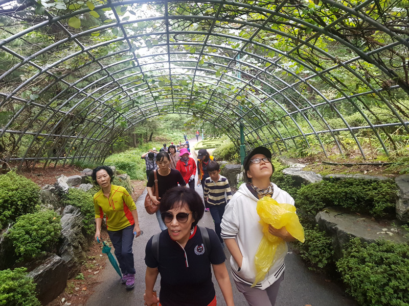 울산대공원 덩쿨식물 터널을 신기한 듯 바라보는 참가자들.