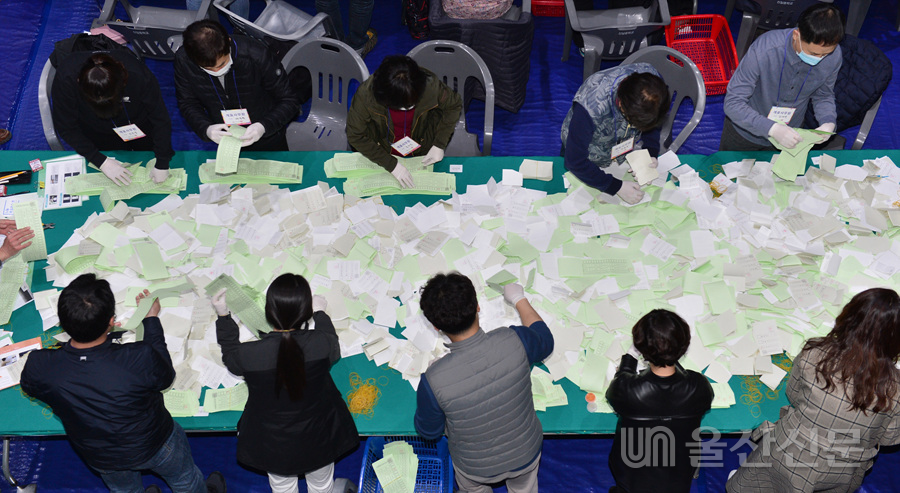 신일중학교 체육관에 마련된 울산 남구 개표소에서 투표지를 분류하고 있는 선관위 관계자와 개표 사무원들.
