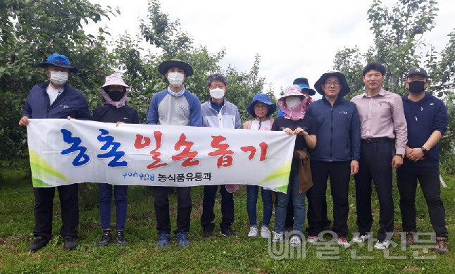 포항시청 농식품유통과 직원 10여 명은 25일 기북면 용기리 소재 농가에서 봄철 농촌일손돕기 지원 활동을 펼쳤다. 포항시 제공