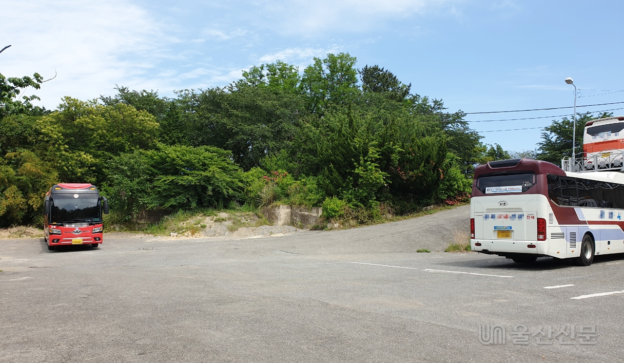 옛 공설화장장 부지가 관리되지 않은 채 장기간 방치되고 있다. 2일 방문한 울산 동구 화정동 산 160-4 일대에는 관광버스 등이 주차돼 있다.
