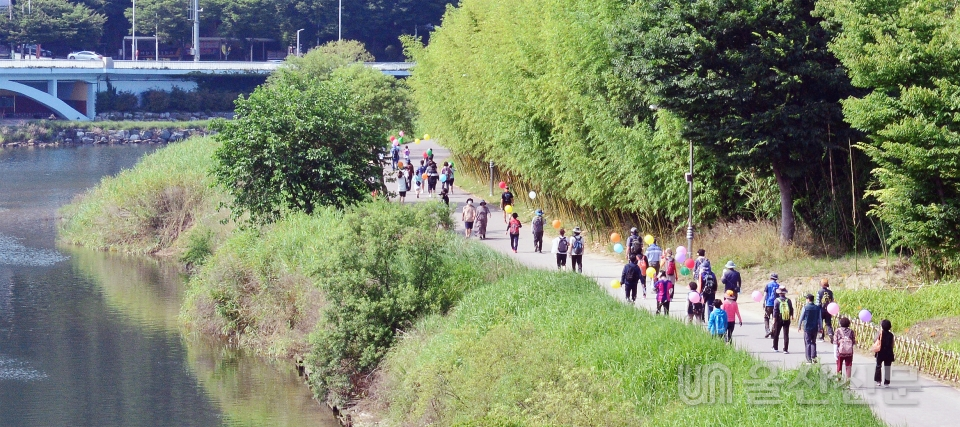28일 가족, 친구, 동료와 함께 울산 태화강 국가정원 일원에서 열린 걷기대회에 참가한 시민들이 신록이 짙어가는 태화강변 산책길을 걷고 있다.