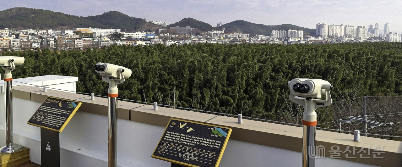 삼호대숲의 철새를 망원경을 통해 실제 관찰할 수 있는 홍보관 옥상에 마련된 '철새전망대'.  유은경기자 2006sajin@