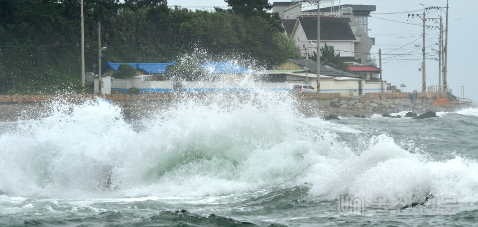 제5호 태풍 '장미(JANGMI)'가 상륙한 10일 울산 동구 주전 해안가에 집채만한 파도가 몰아치고 있다. 유은경기자 2006sajin@