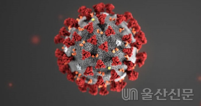 미국 질병통제예방센터(CDC)에서 신종 코로나바이러스의 구조를 실제와 비슷하게 구현한 3D 이미지.  미국 질병통제예방센터 출처