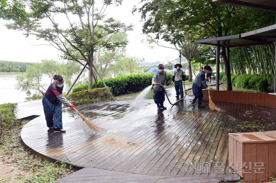 7일 울산시 생태정원과 관계자들이 태풍 '하이선'의 영향으로 침수된 중구 태화강둔치에서 산책로 청소 등 복구 작업을 벌이고 있다.