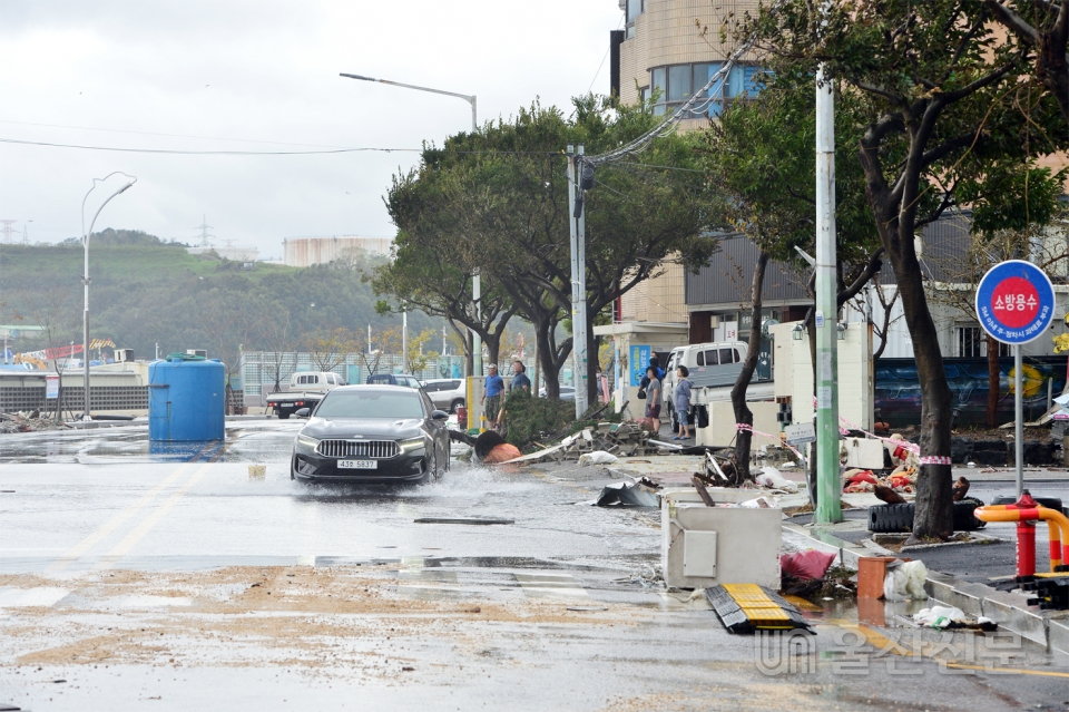 태풍 '하이선'이 북상한 7일 강한 비바람에 바닷물이 들이치고 가로수와 시설물이 파손되자 주민들이 걱정스럽게 바라보고 있다.