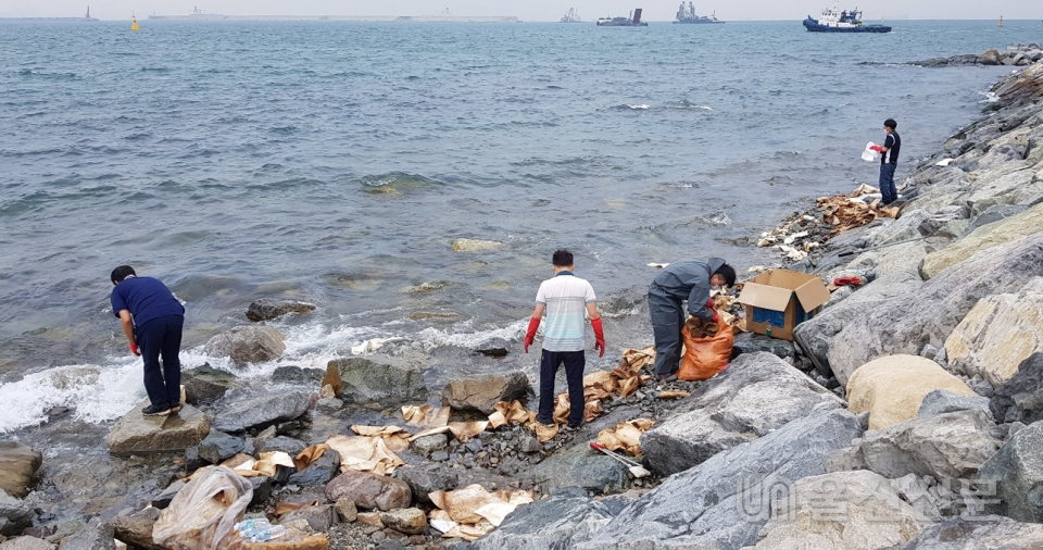 지난 11일 울산시 울주군 앞바다에 설치된 한국석유공사 원유이송시설(부이)에서 유출된 기름이 서생면 진하리 해안까지 밀려와 있다. 울산해양경찰서 제공