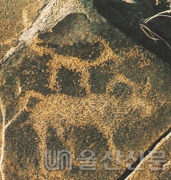반구대암각화와 연관성이 있는 것으로 알려진 내몽고 적봉에서 발견된 한국형 암각화 모습.