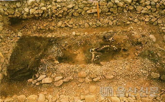 1973년 4월 20일 경주 고분 제155호 천마총의 발굴 모습. 경주시 출처