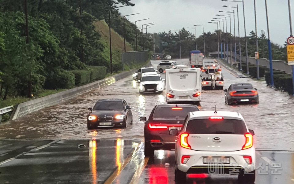 '오마이스'로 폭우가 내린 24일 오전 태풍 울산 동구 남목-마성 구간 도로가 침수되면서 출근 차량들이 거북 운행을 하고 있다. 페이스북 캡처