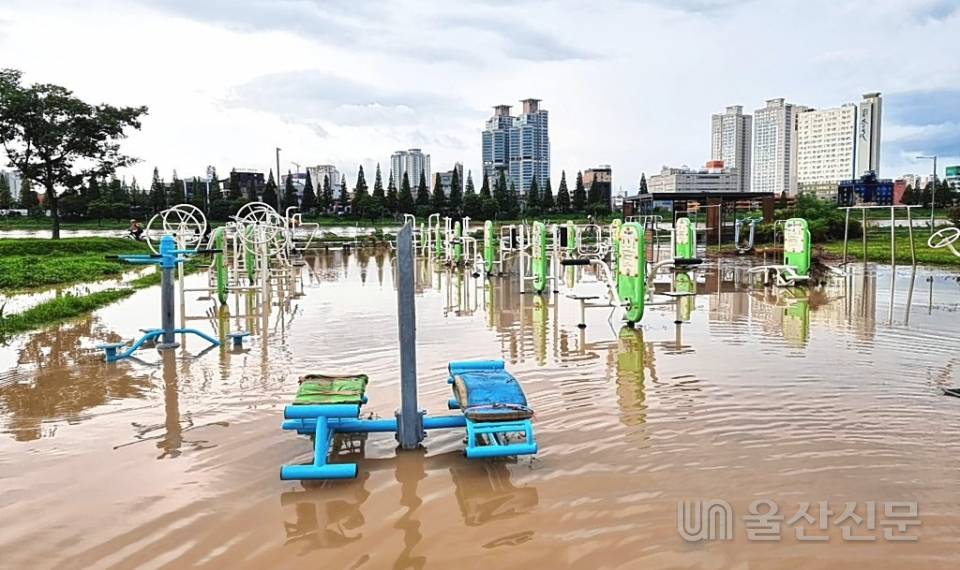 24일 오전 제12호 태풍 '오마이스'로 인해 태화강이 범람해  중구 태화강 둔치 체육시설이 물에 잠겨 있다.  이상억기자agg77@