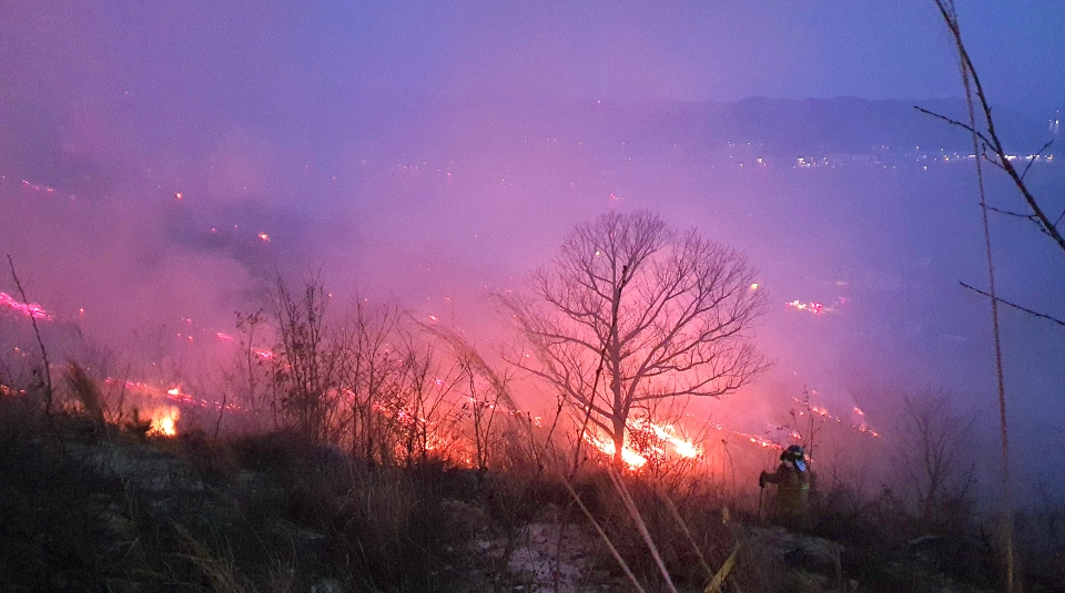 지난 6일 오후 울주군 언양읍 직동리 한 야산에서 발생한 산불 현장. 제공 : 울산소방본부