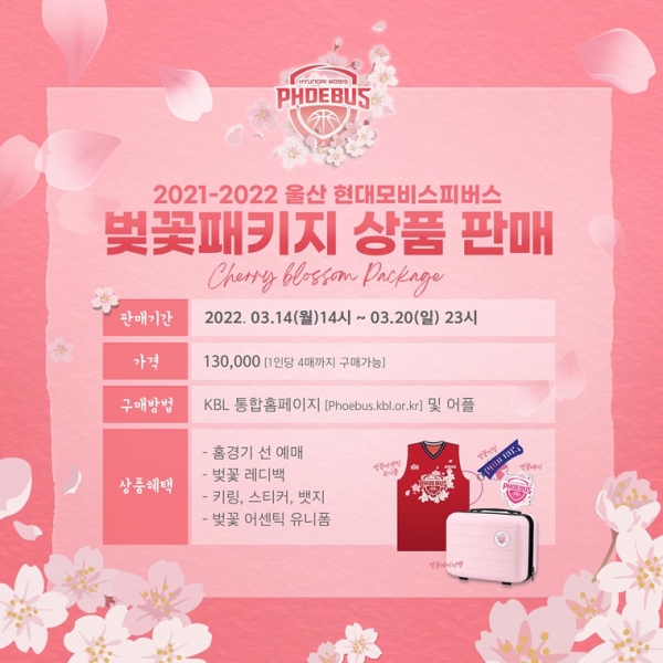 울산현대모비스피버스 프로농구단이 14일부터 '벚꽃 티켓패키지' 판매를 시작했다. 현대모비스 제공