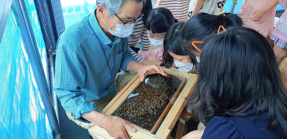 울산 신정초등학교는 학교 옥상에 설치한 꿀벌 생태교육장에서 꿀벌 생태 관찰 학습을 실시하고 있다.