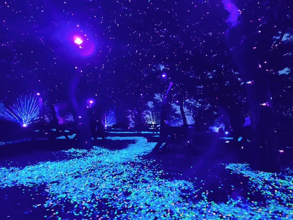 옹기축제 최초로 시도하는 야간 콘텐츠인 '별빛야행'의 시크릿가든.