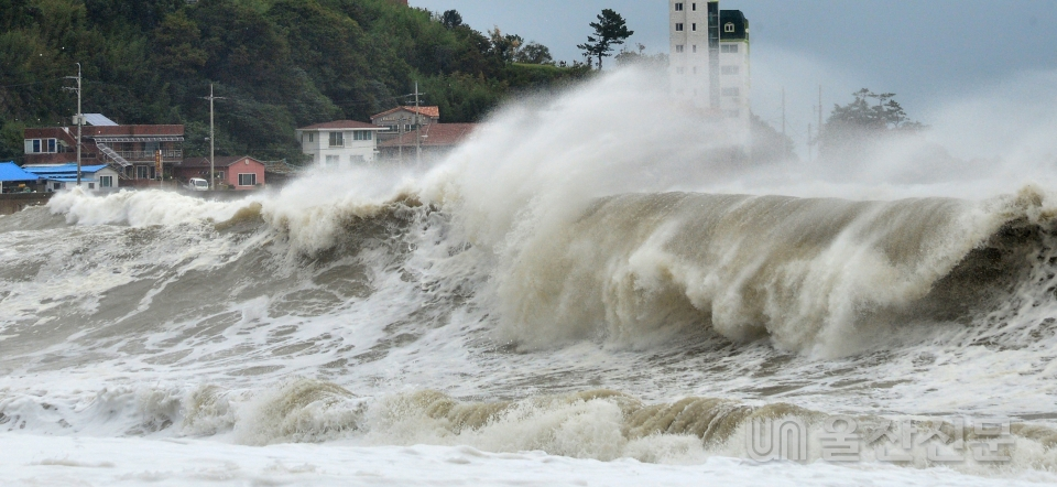 제14호 태풍 '난마돌'이 북상한 19일 울산 북구 신명마을 해안가에 거센 파도가 몰아치고 있다.