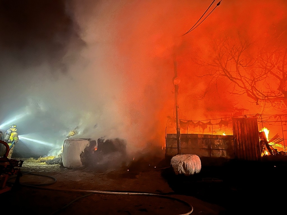 28일 오전 5시 3분께 울주군 삼남읍의 한 축사에서 화재가 발생해 축사 120㎡가 소실되고 소 4마리가 폐사했다. 울산소방본부 제공
