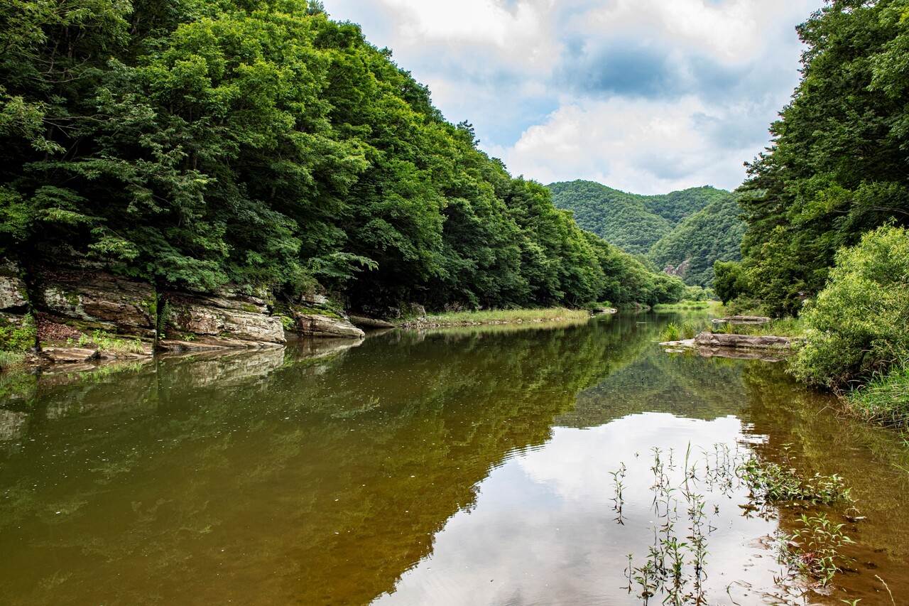 천전리각석과 반구대암각화를 이어주는 대곡천. ⓒ이상원