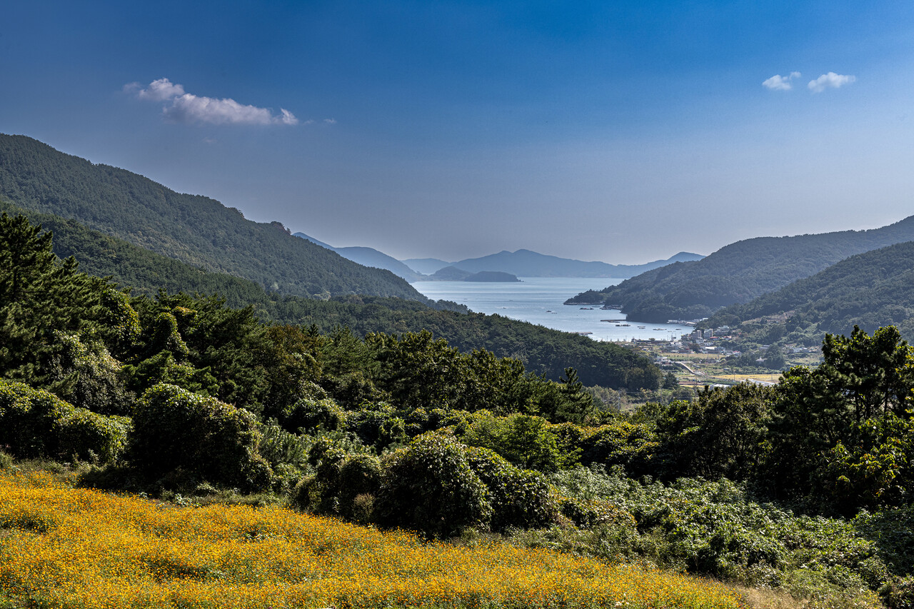 경남 통영시 박경리 작가의 묘소 앞의 풍경. 이순신이 임진왜란 초기에 싸워 이긴 당포 바다와 한산도가 한눈에 내려다 보인다. ⓒ이상원