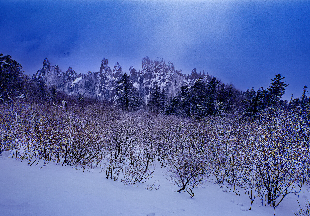 설악산 용아장성의 설경. ⓒ이상원