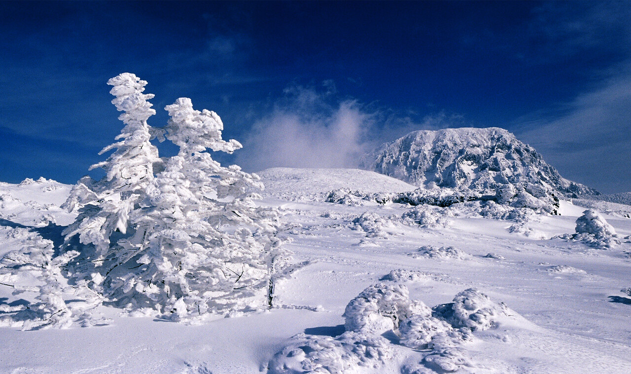 한라산 윗세오름 선작지왓 설경. ⓒ이상원
