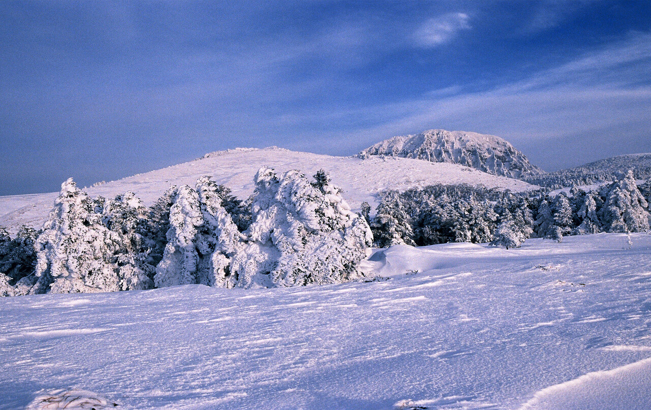 한라산 만세동산 설경. ⓒ이상원