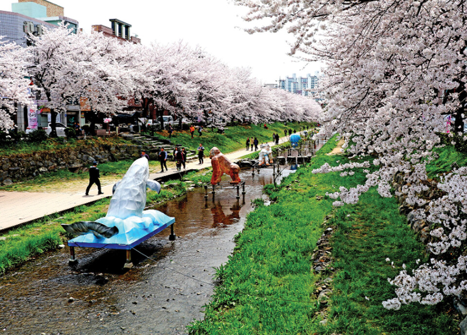 울산 남구 궁거랑 벚꽃축제 모습. 울산 남구 제공