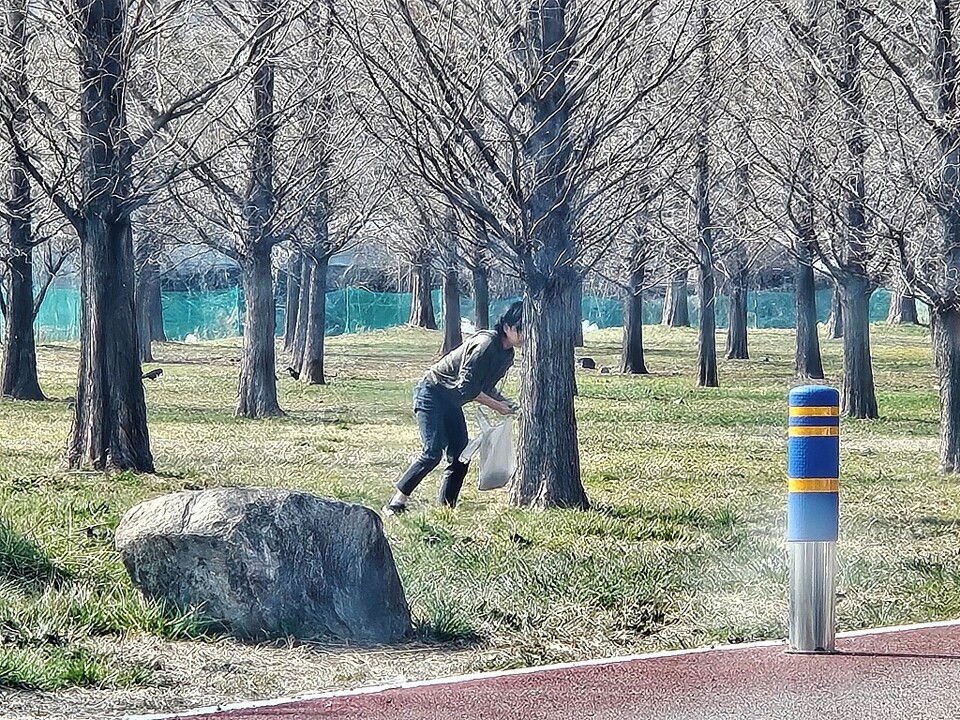 19일 울산 울주군 선바위 공원 인근에서 한 시민이 쑥을 채취하고 있다. 민창연기자 changyoni@
