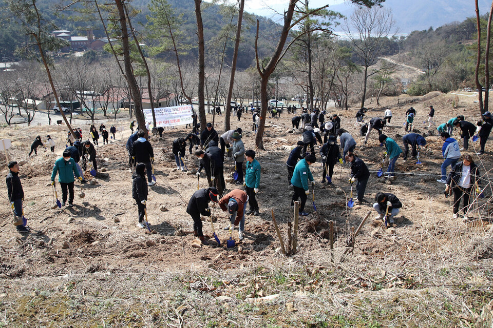 지난 20일 밀양시 상동면 금산리 산 60-1번지 일원에서 식목일 행사 참가자들이 나무를 심고 있다. 밀양시 제공