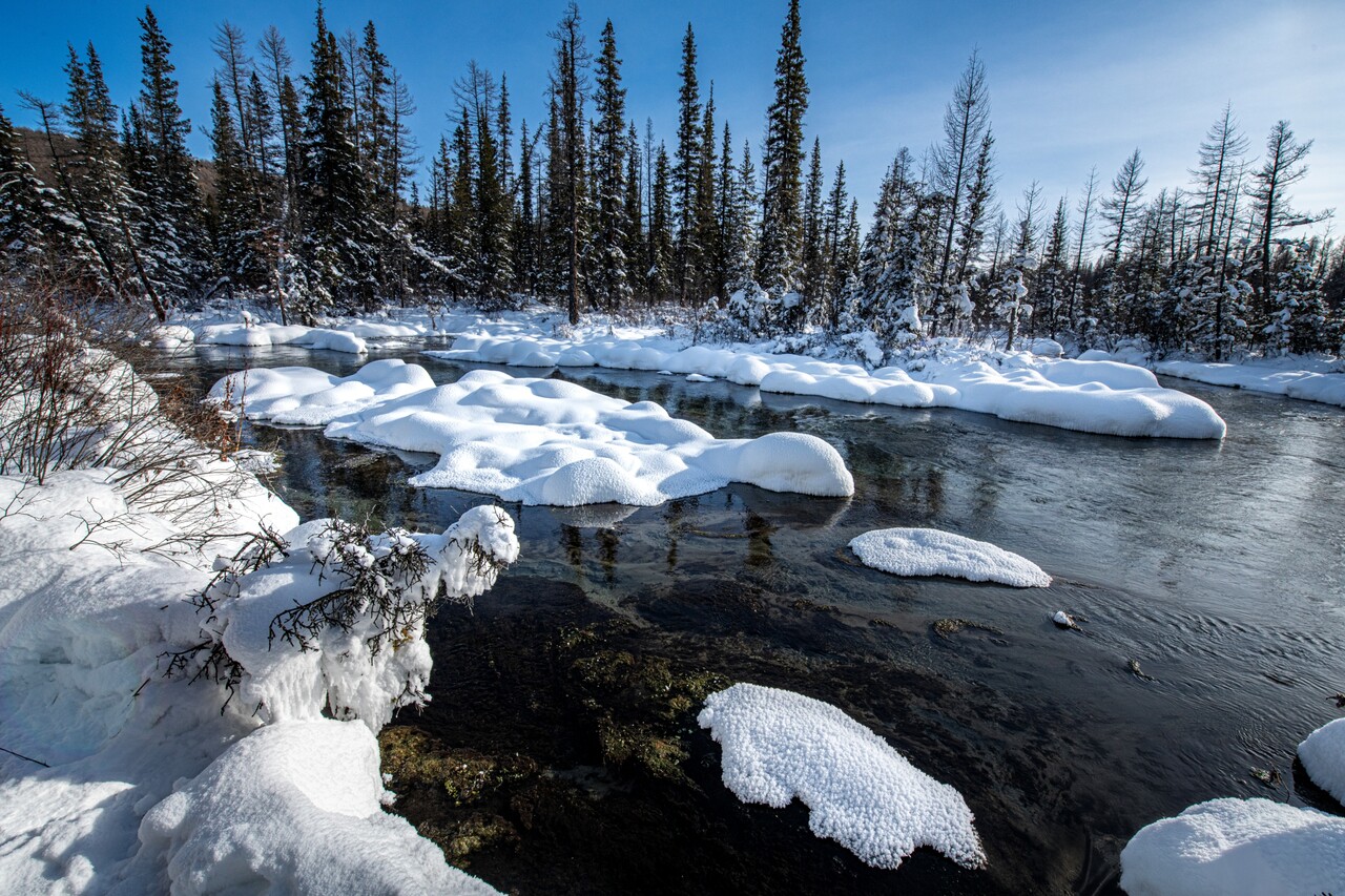 영하 50도에도 얼지 않는 몽골 자르갈란트강의 설경. ⓒ이상원