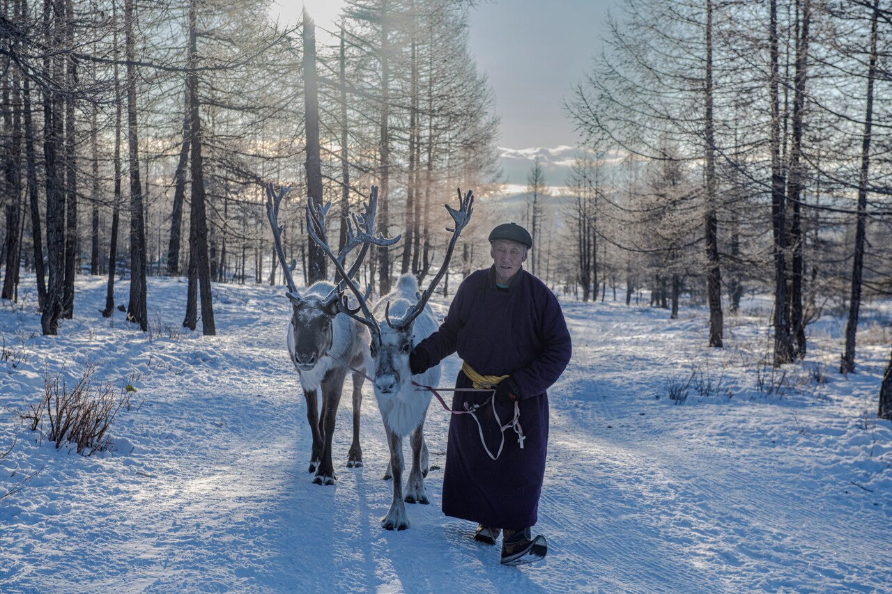 순록과 함께 걸어오는 차탕족 노인. ⓒ이상원