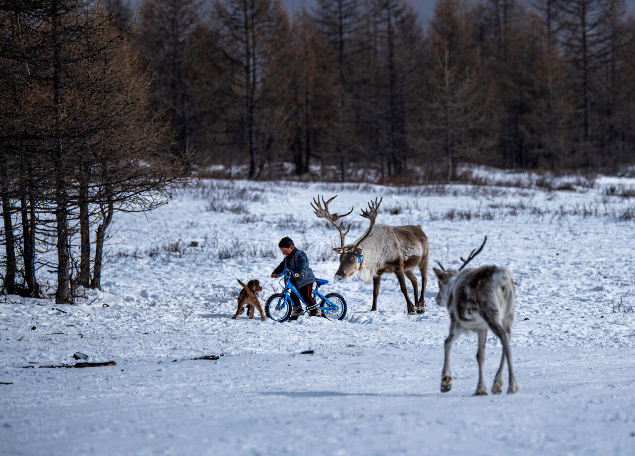 자전거를 타는 차탕족 아이와 순록, 강아지. ⓒ이상원
