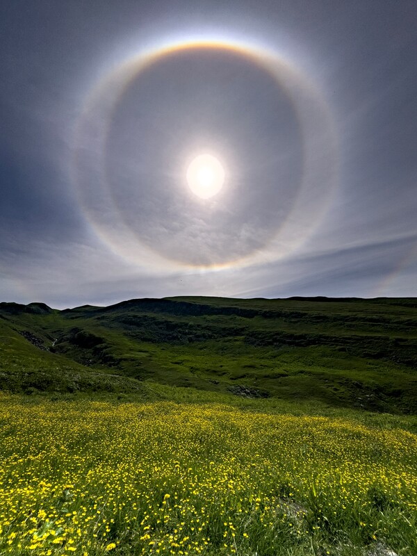 백두산 서파의 야생화 군락과 원형 무지개. ⓒ이상원