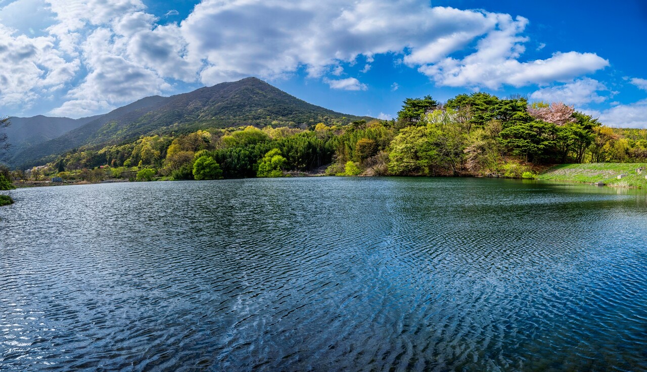 울주군 상북면 거리, 지곡저수지의 봄 풍경. 이곳에는 물레방앗간과 함께 작은 마을이  있었으나 농업용수 확보를 위해 이 저수지를 만들 때 옆으로 이주했다.사계절 아름다운 풍경을 뽐내지만 주민의 애환이 녹아 있는 곳이다. ⓒ이상원