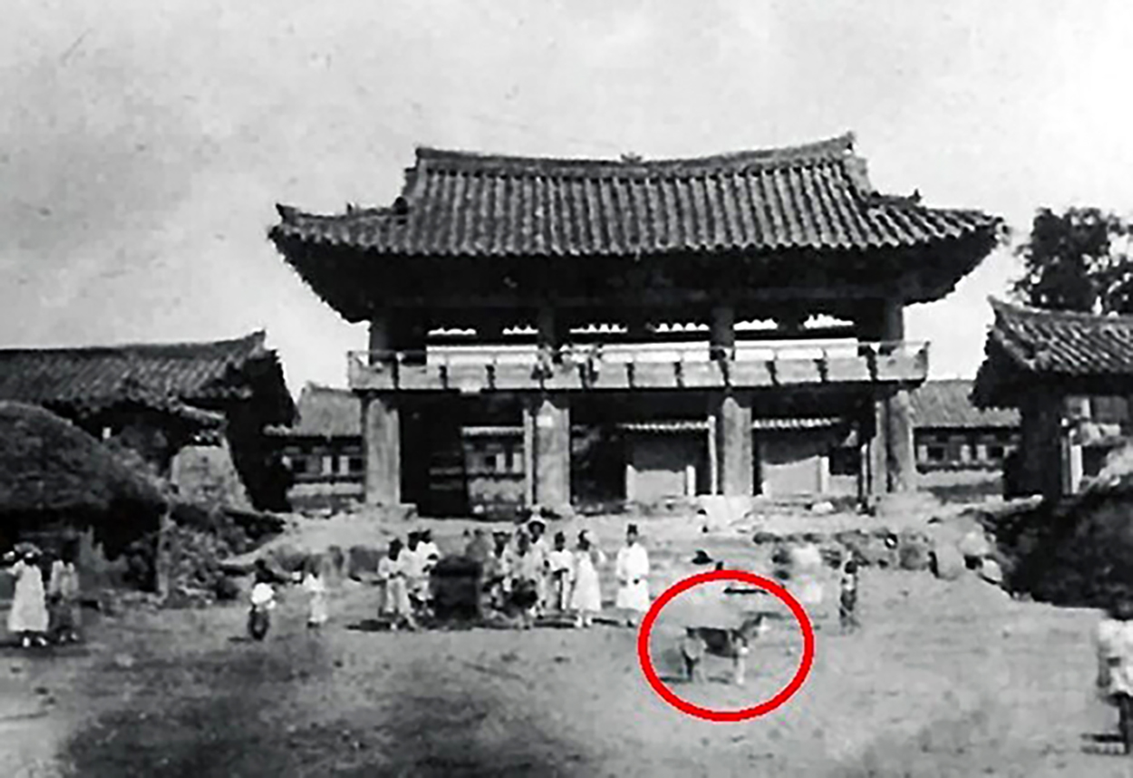 1920~30년대로 추정되는 태화루 앞 장터의 동경이 (서울대 유리건판). 김장출 제공