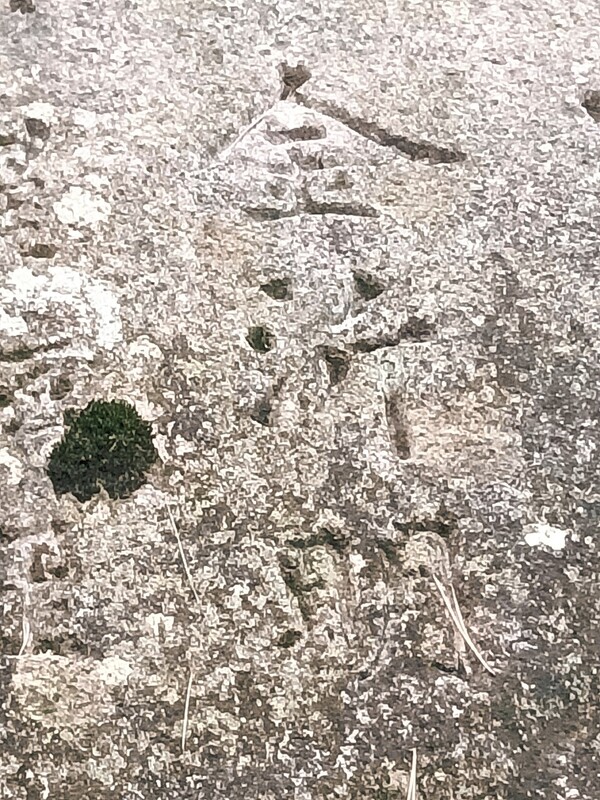 통도사 무풍한송길 바위에 새겨진 '金沂明'. 김잠출 제공<br>