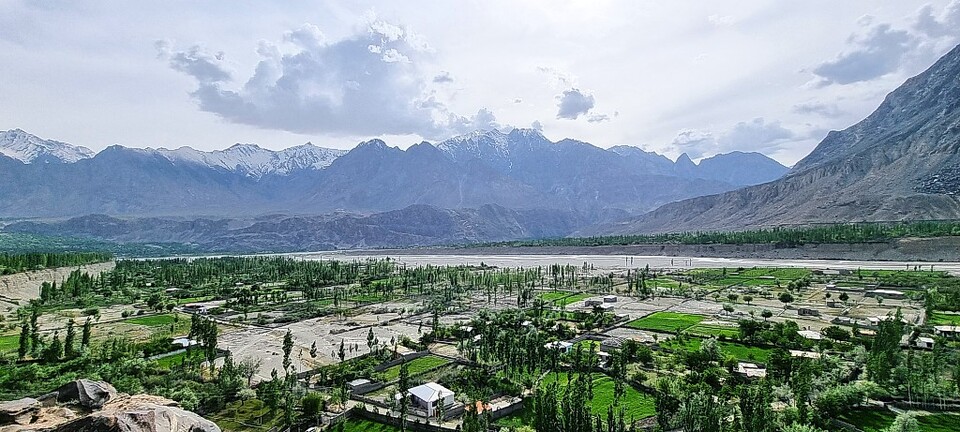 미루나무가 있는 마을. 이서원 제공