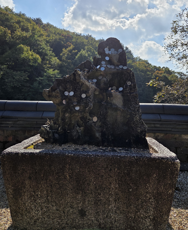 소원석. 정은영 제공