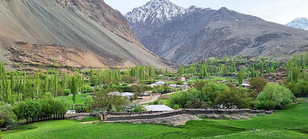 숙소에서 바라본 미루나무가 우거진 마을 전경.&nbsp;이서원 제공<br>