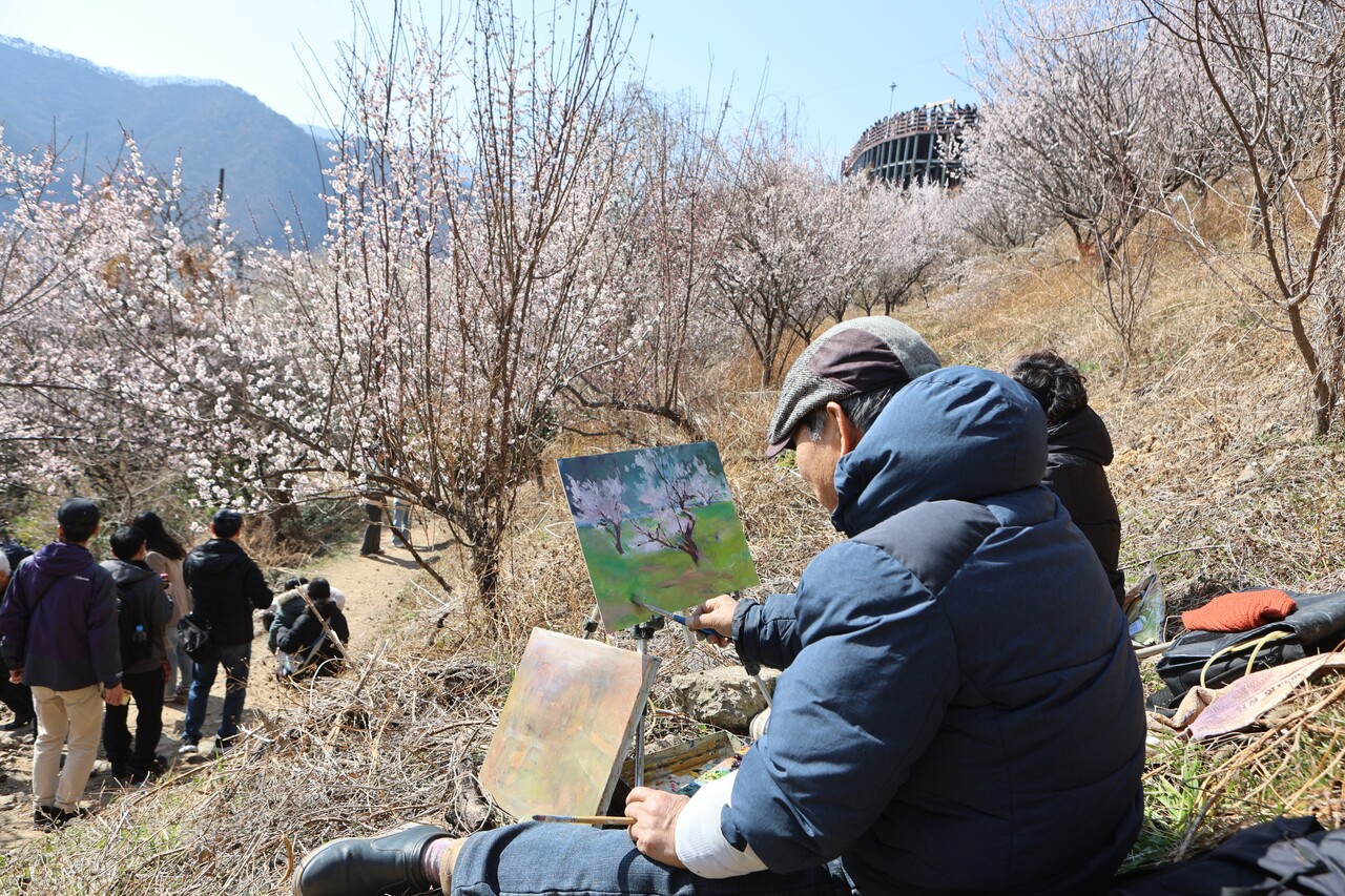양산 원동 매화축제의 열기는 이번 주말에도 이어진다. 오는 14일과 15일 양일간 원동주말장터 무대에서 '원동 페스타'가 개최될 예정이다. 사진은 축제 현장 모습. 양산시 제공