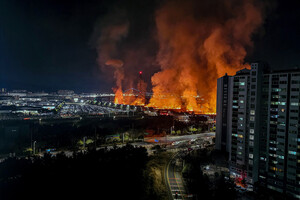 울산 명촌교 인근 갈대밭 화재 관련 보도 이미지